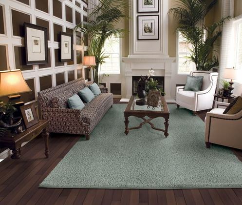 area rugs for living room