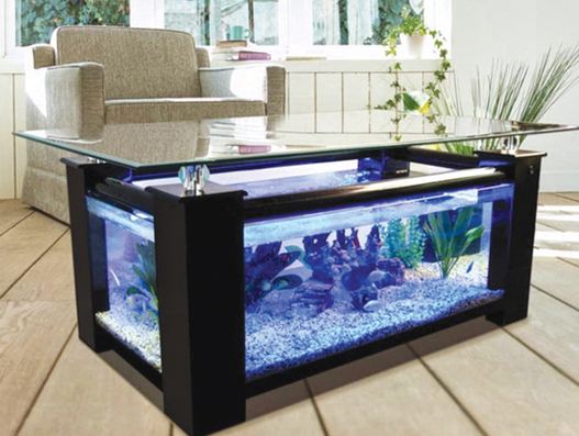 Best Location for Fish Aquarium at Home