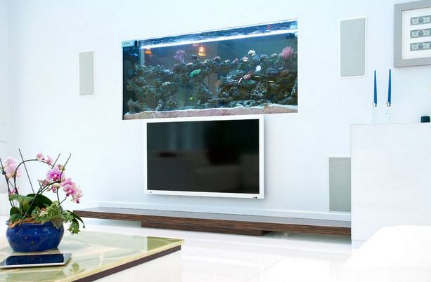 Best Location for Fish Aquarium at Home