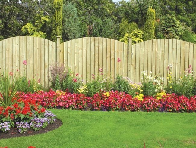 Inspirations of Backyard Fence Ideas