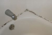 How to Remove Mold from Bathroom Walls