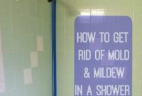 How to Get Rid of Mold in the Shower