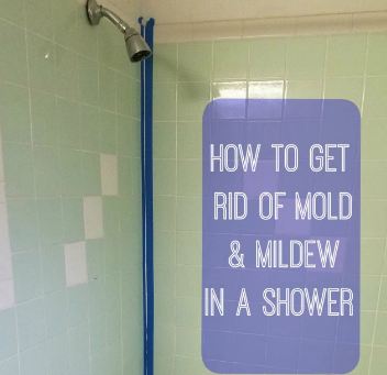 How to Get Rid of Mold in the Shower