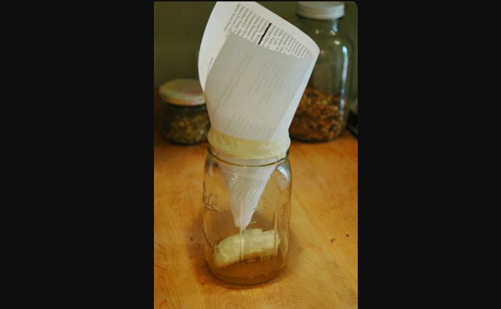 Home Remedy for Fruit Flies