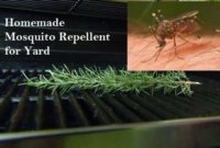 Homemade Mosquito Repellent for Yard