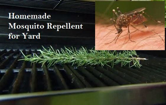 Homemade Mosquito Repellent for Yard