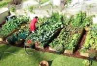 How to Make Garden Beds Raised