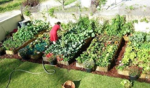 How to Make Garden Beds Raised