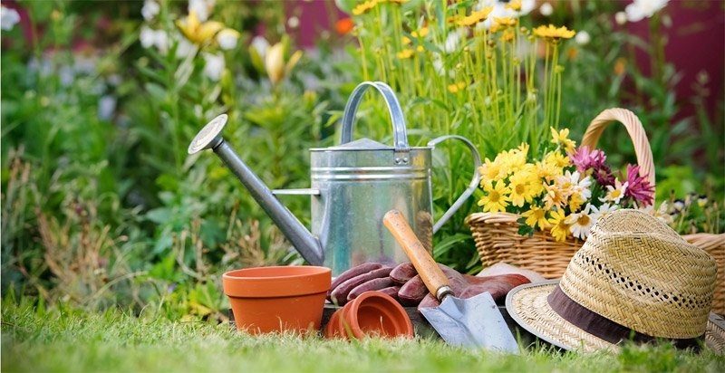 8 essential tips for decorating small garden