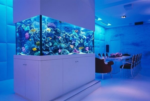 How to Make an Aquarium at Home