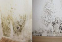 is mildew and mold the same thing