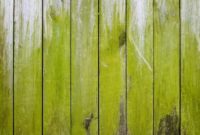 How to Remove Green Algae from Wood Deck