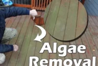 How to Remove Green Algae from a Deck