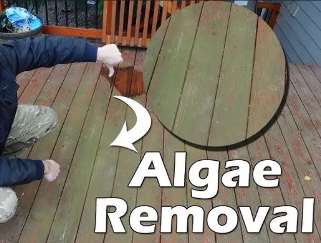 How to Remove Green Algae from a Deck